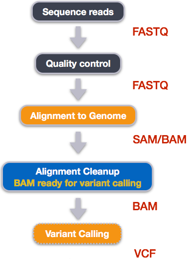 Variant Calling Workflow